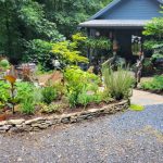 Front Yard Landscaping