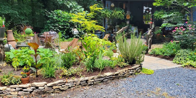 Front Yard Landscaping in Marietta, Georgia