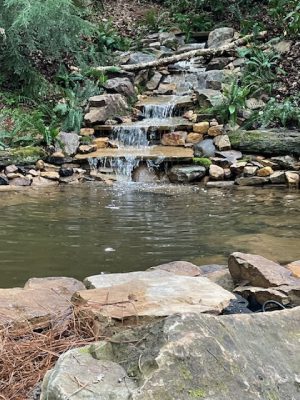 Four Kinds of Water Features to Consider Adding to Your Landscape